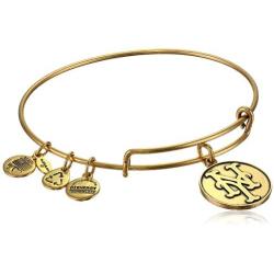 Alex and Ani ''Major League Baseball'' Mets Cap Logo Rafaelian Gold-Tone Expandable Bangle Bracelet