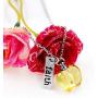 Stainless Steel Faith Pendant Necklace with Mustard Seed in Apple Shape Openable Bottle Case Charms Christian Necklaces Y786