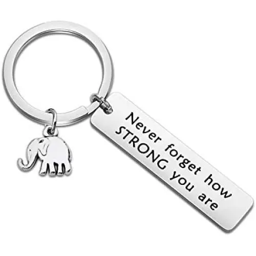 WUSUANED Inspirational Gift Never Forget How Strong You are Elephant Keychain Elephant Lover Jewelry Lucky Elephant Gift