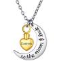 U7 Personalized Photo Cremation Urn Necklace for Human Pet Ashes |Stainless Steel Engraving Heart Pendant Memorial Keepsake Jewelry with Filling Tool