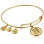 Alex and Ani MLB San Francisco Giants Charm Bangle