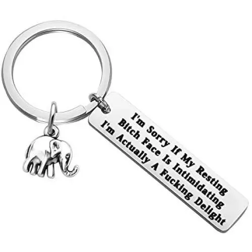 UJIMS Friendship Keychain with Elephant Charm Soul Sister Jewelry Bitches Appreciation Gift UJIMS Friendship Keychain with Elephant Charm Soul Sister Jewelry Bitches Appreciation Gift