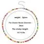 12Pieces Beaded necklace Boho Bohemian seed Bead Choker Colorful Summer Beach Handmade Jewelry for Women Girls 12Pieces Beaded necklace Boho Bohemian seed Bead Choker Colorful Summer Beach Handmade Jewelry for Women Girls