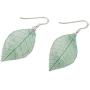NOVICA Natural Leaf .925 Sterling Silver Dangle Earrings Stunning Nature in Jade