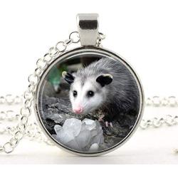 Opossum Glass Photo Necklace Pendant Possum Lover Gift Jewelry