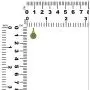 Starborn Genuine Moldavite Pendant with gold-plated Chain Starborn Genuine Moldavite Pendant with gold-plated Chain