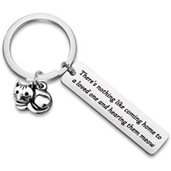 CYTING Cat Keychain Pet Owner Rescue Jewelry Cat Lover/Mom/Lady Gift Theres Nothing Like Coming Home to A Loved One and Hearing Them Meow