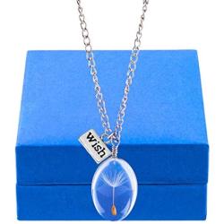 CLONG Dandelion Seed Pendant Wish Necklace Real Nature Flowers Seed with Crystal Clear Glass Charm Pendant Necklace Length 24.3'' Chain for Girls Women Friend Mom Gift