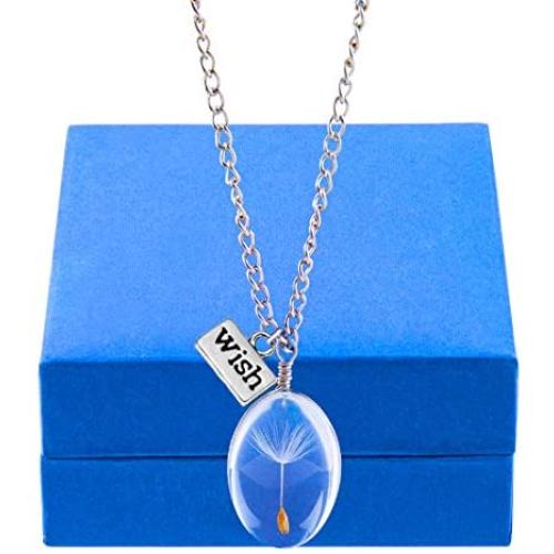 CLONG Dandelion Seed Pendant Wish Necklace Real Nature Flowers Seed with Crystal Clear Glass Charm Pendant Necklace Length 24.3'' Chain for Girls Women Friend Mom Gift