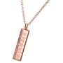 Pill Necklace,Womens Girls Small Pill Capsule Xanax ID Bar Pendant Stainless Steel Necklace Jewelry