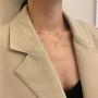 Baffaricco Number Initial Necklace for Women Girls Stainless Steel 0-9 Charm Pendent Necklace with Chain Gold Plated Lucky Necklace