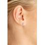 ALEVIRA Cubic Zirconia Studded 14K White and Yellow Gold-Plated Earrings - Womens Ear Hoop Huggies with Jewelry Box