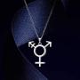 Besilver LGBT Lesbian Pride Necklace for Women Men 925 Sterling Silver Tansgender Gay Pride Earrings/Necklace Gay Pride Jewelry Gift