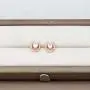 FAADBUK Lucky Horseshoe Rose Gold Earrings Horseshoe Stud Earrings Good Luck Charm Earrings Jewelry For Horses Lover Cowgirl