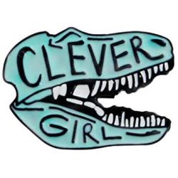 Charmart Clever Girl Enamel Pins 2 Piece Set Dinosaur Brooch Denim Coat Bags Backpacks Jackets Shirt Lapel Badges Animal Pins Gifts