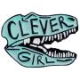 Charmart Clever Girl Enamel Pins 2 Piece Set Dinosaur Brooch Denim Coat Bags Backpacks Jackets Shirt Lapel Badges Animal Pins Gifts