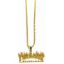 Thrasher Magazine Flame Pendant Necklace Men Hip-Hop Rock Titanium Stainless Steel Gold Chain Necklace Fashion Man Jewelry,Gold