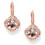Mariell Tailored Solitaire Drop Earrings with Brilliant Round Crystals in Rose Gold Tone. Loved By All!