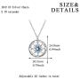 AOBOCO Inspirational Sterling Silver Compass Necklace with Swarovski Birthstone Crystal for Men & Women, Go in the Direction of Your Dreams, Christmas Birthday Jewelry Gift