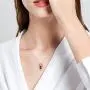 WINNICACA Birthstone Necklace s925 Sterling Silver Owl Pendant Necklace Jewelry Gifts Women Girls Birthday Christmas Owl Lovers WINNICACA Birthstone Necklace s925 Sterling Silver Owl Pendant Necklace Jewelry Gifts Women Girls Birthday Christmas Owl Lovers