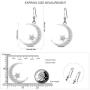 Sterling Silver Round Cubic Zirconia Crescent Moon & Star Dangle Earrings Star Jewelry for Women