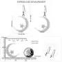 Sterling Silver Round Cubic Zirconia Crescent Moon & Star Dangle Earrings Star Jewelry for Women Sterling Silver Round Cubic Zirconia Crescent Moon & Star Dangle Earrings Star Jewelry for Women