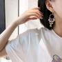 Colorful Tassel Long Dangle Earrings for Women Girls, Exquisite Big Hoop Fairy Flowers Stud Earrings