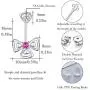 Ear Jacket Earrings for Women Sterling Silver Lucky Clover Flower Ear Cuffs Stud Leaf Earring Jewelry Christmas Birthday Gift for Her Women Girls Hypoallergenic Earrings