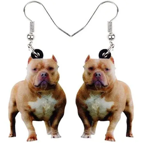 WEVENI Acrylic Cute English Bulldog Dog Earrings Dangle Pet Puppy Jewelry For Women Girls Novelty Gifts
