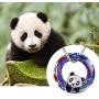 925 Sterling Silver Panda with Crystal Pendant Necklace Birthday Gifts for Women Daughter