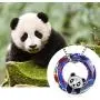 925 Sterling Silver Panda with Crystal Pendant Necklace Birthday Gifts for Women Daughter