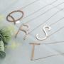 Finrezio Stainless Steel Large Initial Necklace Rose Gold Plated Big Letter Pendant Necklace for Women Mother from Alphabet 26 A-Z