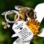 BEKECH Honey Bee Charm Keychain Perhaps the Bee Is More Honored Because of What She Does for Others Bee Jewelry Keyring Appreciation Gift for Teachers, Coworkers,Employees