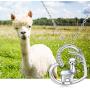 JUSTKIDSTOY Llama Necklace Jewelry Sterling Silver Cute Animal Alpaca Pendant Necklace Birthday Gifts for Women Girls