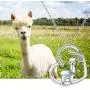 JUSTKIDSTOY Llama Necklace Jewelry Sterling Silver Cute Animal Alpaca Pendant Necklace Birthday Gifts for Women Girls JUSTKIDSTOY Llama Necklace Jewelry Sterling Silver Cute Animal Alpaca Pendant Necklace Birthday Gifts for Women Girls