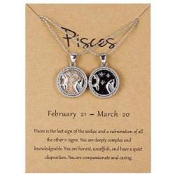 BELLA-Bee 2PC/Set 12 Constellation Pendant Necklace Coin Pendant Astrology Constellation Horoscope Zodiac Necklace with Message Card for Women Girls Jewelry