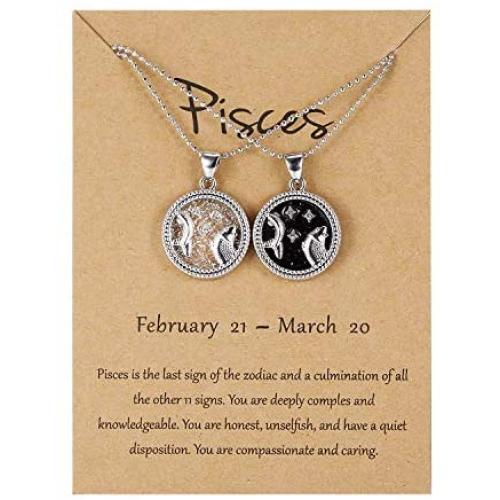 BELLA-Bee 2PC/Set 12 Constellation Pendant Necklace Coin Pendant Astrology Constellation Horoscope Zodiac Necklace with Message Card for Women Girls Jewelry