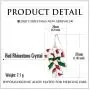 RareLove 2020 Statement Christmas Candy Cane Red Green Piercing Dangle Earrings Red CZ Rhinestone Silver Plated Alloy Holiday Jewelry for Women Girls RareLove 2020 Statement Christmas Candy Cane Red Green Piercing Dangle Earrings Red CZ Rhinestone Silver Plated Alloy Holiday Jewelry for Women Girls