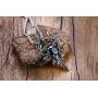 Dragon Sword Necklace for Men or Women Stainless Steel Black Cubic Zirconia Punk Gothic Vintage Look Mythical Pendant with Chain Fantasy Fashion Jewelry by Ginger Lyne
