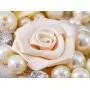 Alilang Women?s Girly Faux Ivory Pearls Floral Beads Gothic Lolita Bridal Costume Fabric Bib Collar Necklace
