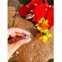YINLIN Danity Charm Wifey Pendant Necklace Gift for Your Wife or Mother Jewelry