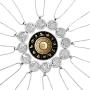 BELLA-Bee 2PC/Set 12 Constellation Pendant Necklace Coin Pendant Astrology Constellation Horoscope Zodiac Necklace with Message Card for Women Girls Jewelry