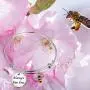 WSNANG Honey Bee Jewelry Always Bee You Bracelet Bee Lover Gift Inspirational Jewelry Gift for Her WSNANG Honey Bee Jewelry Always Bee You Bracelet Bee Lover Gift Inspirational Jewelry Gift for Her
