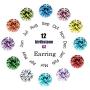 Spiritlele 12 Pairs Colors Crystal Flower Face Magnetic Clip Non Piercing Earrings Set Unisex