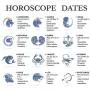 PAVOI 14K Gold Plated Astrology Constellation Horoscope Zodiac Necklace 16-18''