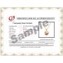 Japanese AAAA 6-13mm Pink Freshwater Cultured Pearl Pendant Necklaces for Women 16-18 Inch Silver Necklace Pendants - Orien Jewelry