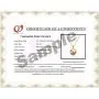Japanese AAAA 6-13mm Pink Freshwater Cultured Pearl Pendant Necklaces for Women 16-18 Inch Silver Necklace Pendants - Orien Jewelry