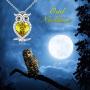 WINNICACA Birthstone Necklace s925 Sterling Silver Owl Pendant Necklace Jewelry Gifts Women Girls Birthday Christmas Owl Lovers