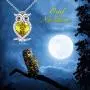 WINNICACA Birthstone Necklace s925 Sterling Silver Owl Pendant Necklace Jewelry Gifts Women Girls Birthday Christmas Owl Lovers WINNICACA Birthstone Necklace s925 Sterling Silver Owl Pendant Necklace Jewelry Gifts Women Girls Birthday Christmas Owl Lovers