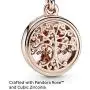 Pandora Jewelry Family Roots Cubic Zirconia Charm in Pandora Rose
